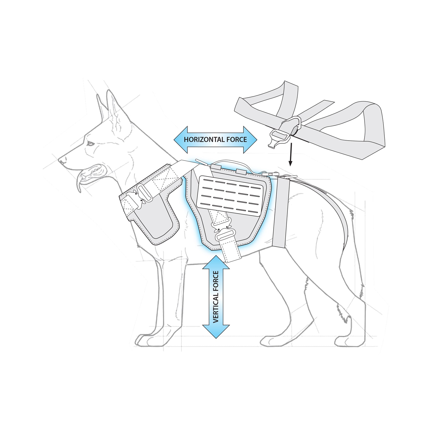 Custom Dog Seat Belt For Large Dogs Manufacturers and Suppliers - Free  Sample in Stock - Dyneema