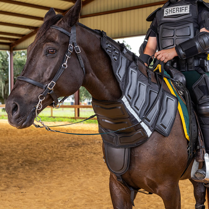 Riot Protection Horse Collar