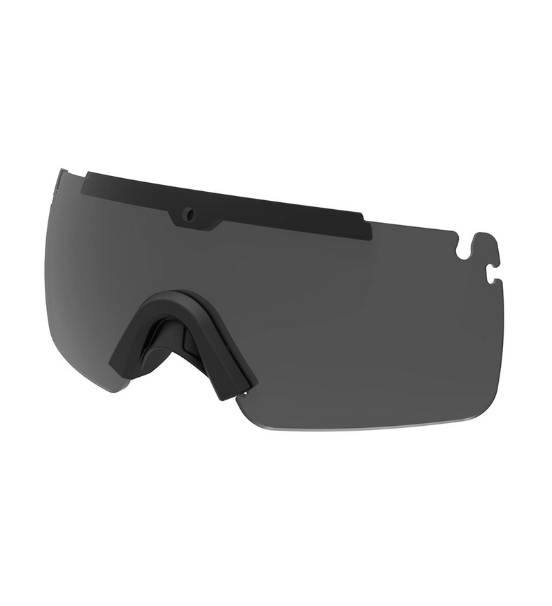 Step-In Visor Tinted Visor Lens
