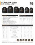 Guardian 3s9m | HighCom Armor - Body Armor - ArmorLite USA